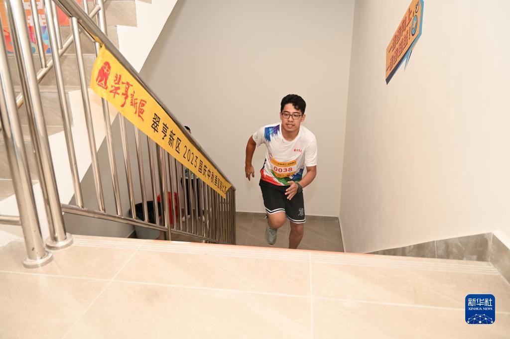 大宝lgpt游戏下载